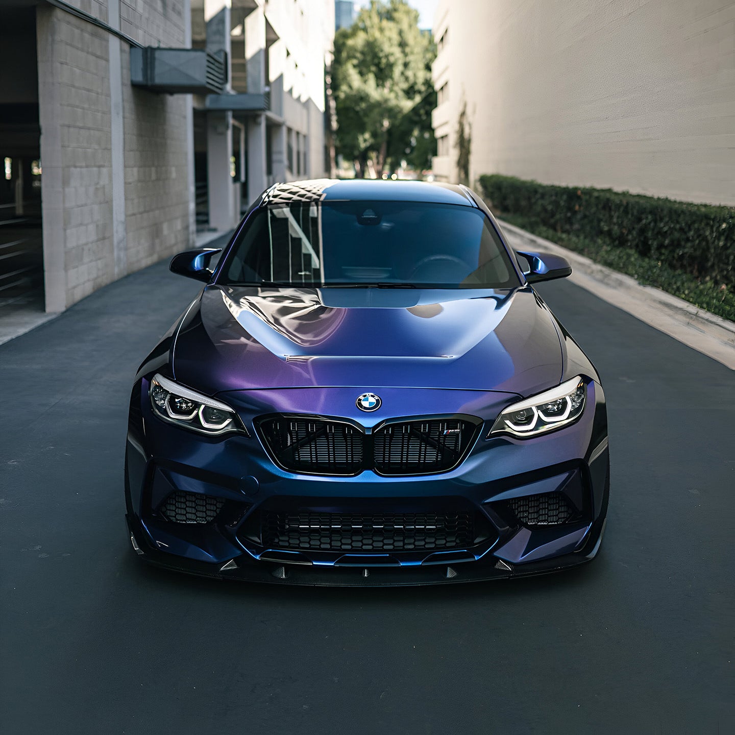 BMW M2 F87 with Aluminium GTS Hood Installed - Front View