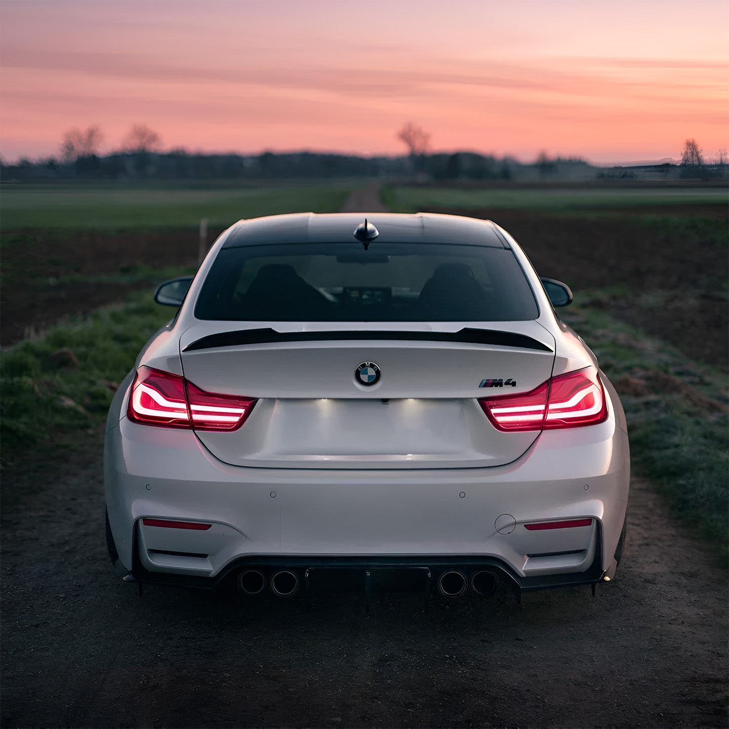 BMW M4 F82 with Carbon Fibre CS Rear Spoiler Installed - Rear View